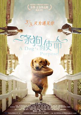 不同世界的人